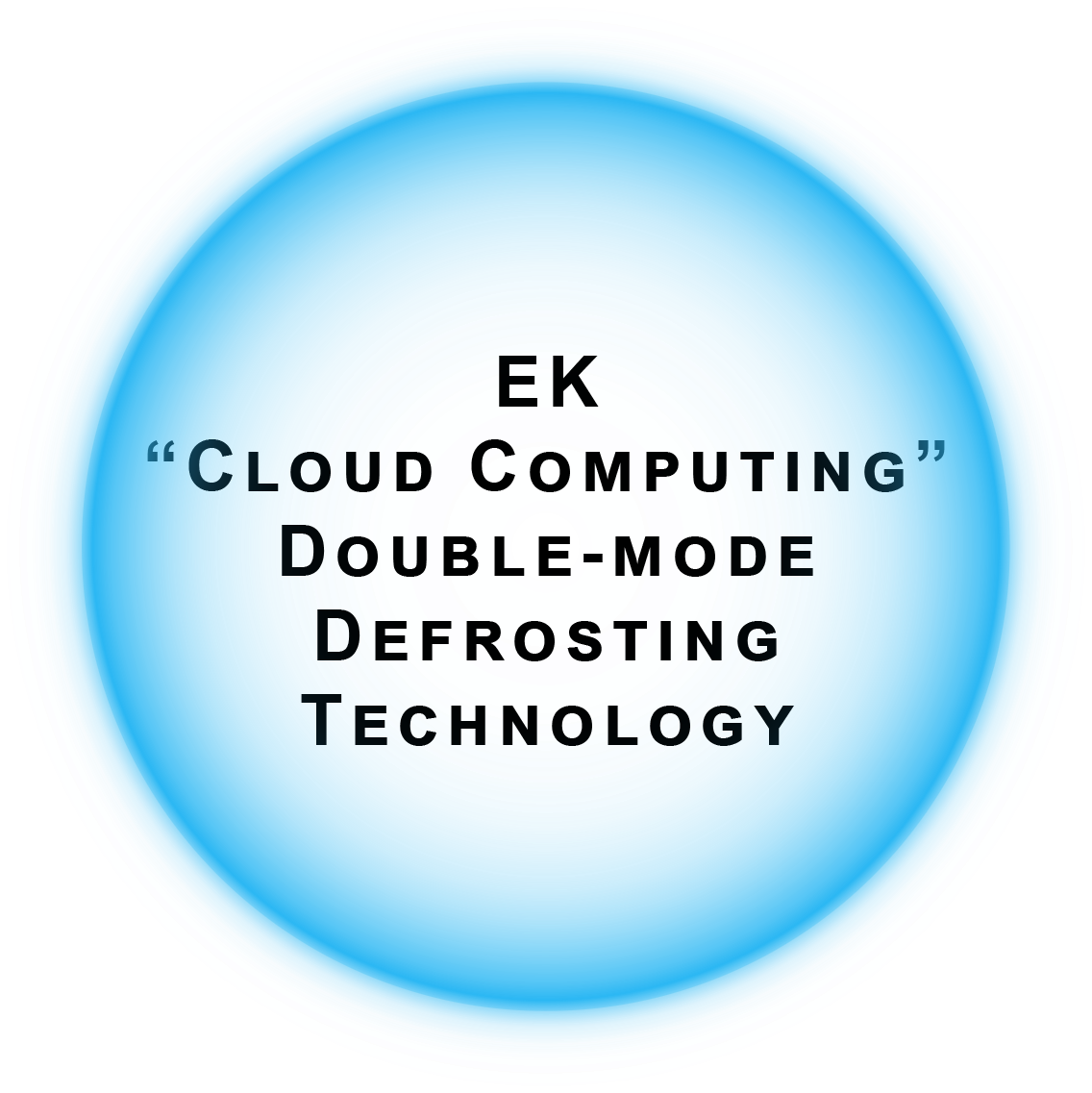 EK "CLOUD COMPUTING" DOUBLE-MODE DEFROSTING TECHNOLOGY